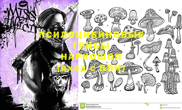 экстази Абаза