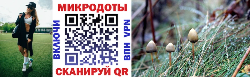хочу   Костомукша  Галлюциногенные грибы мухоморы 